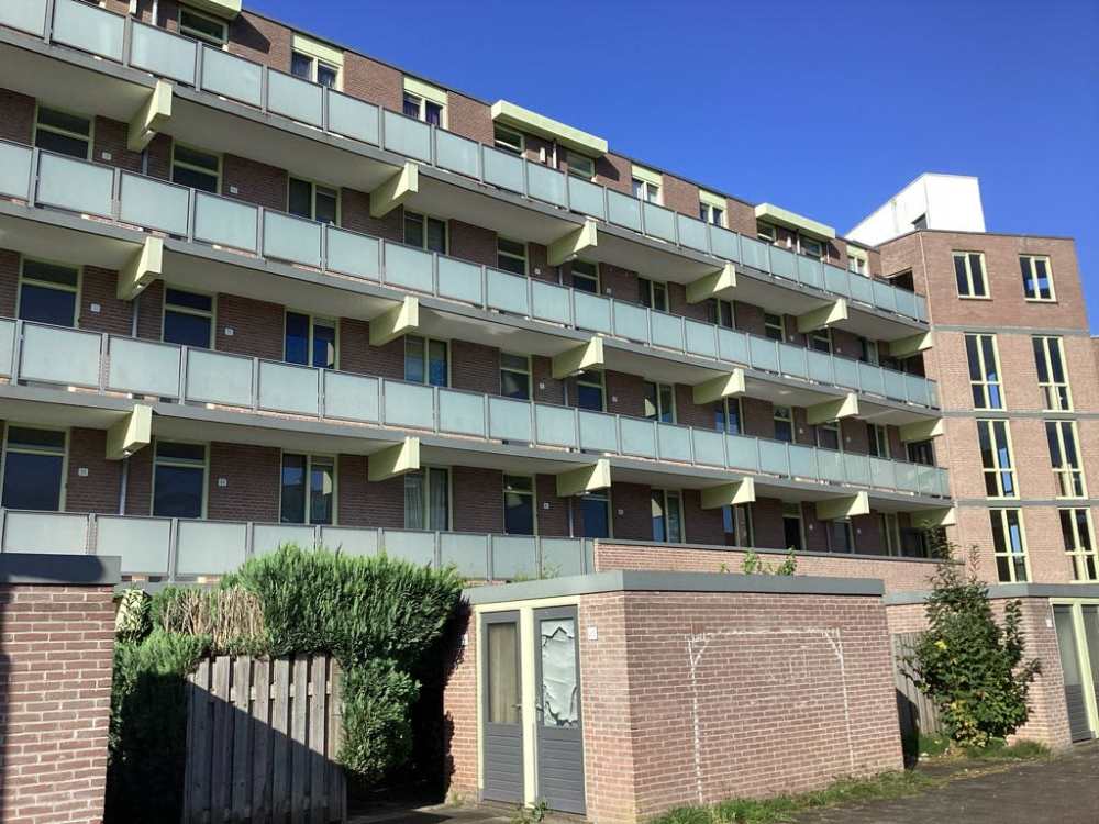 Bergwal 55