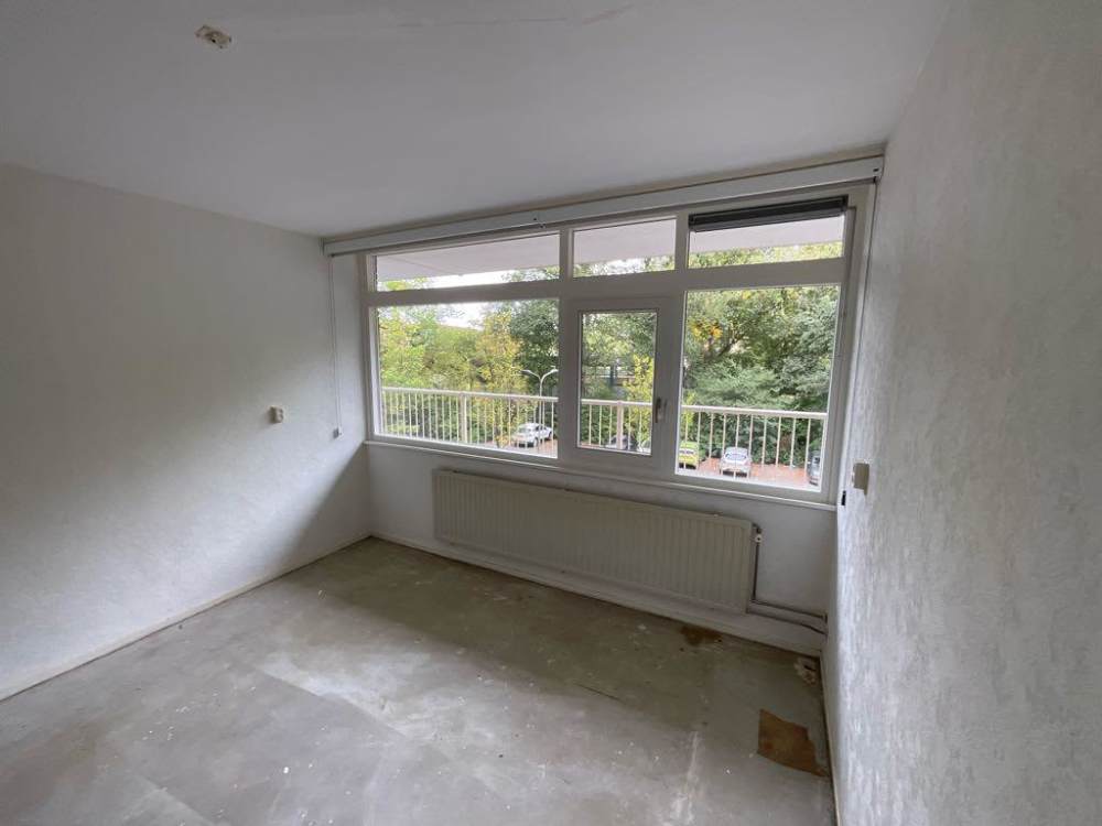 Oostelijk Halfrond 233