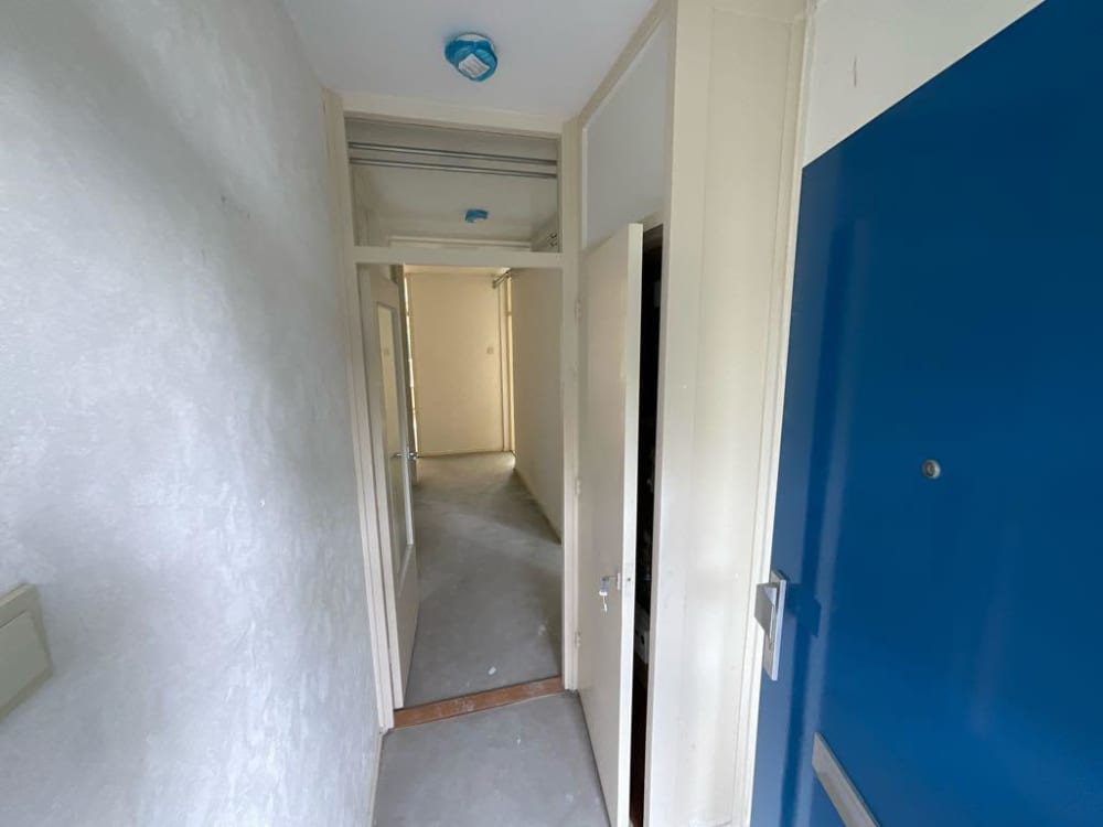 Oostelijk Halfrond 233