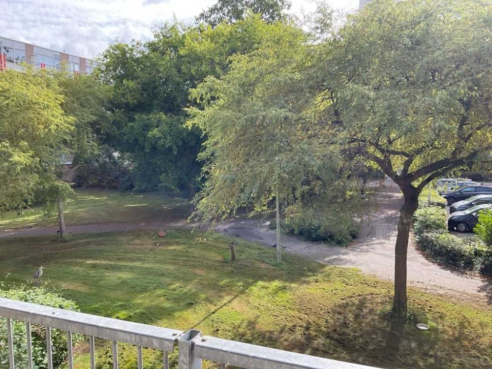 Banne Buikslootlaan 292