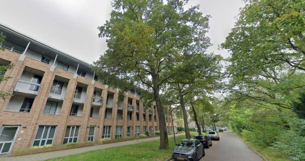 Erfgooiersstraat 219