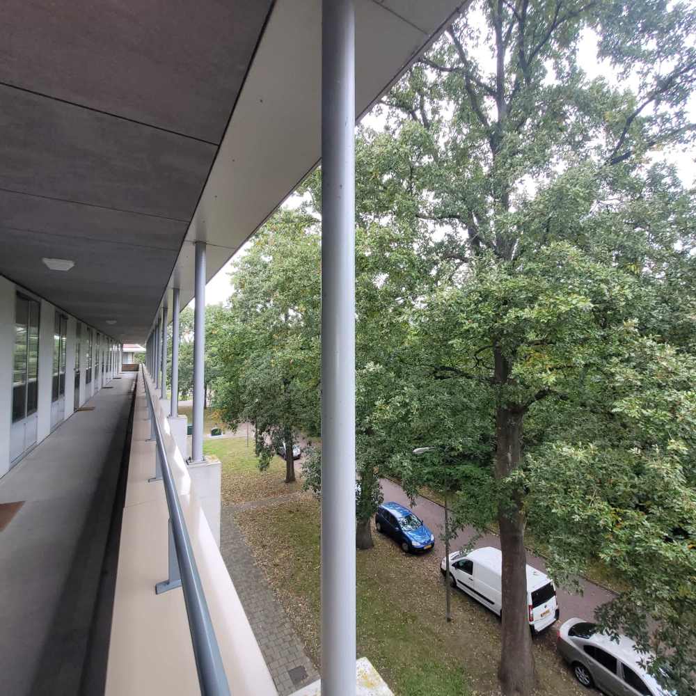 Erfgooiersstraat 219