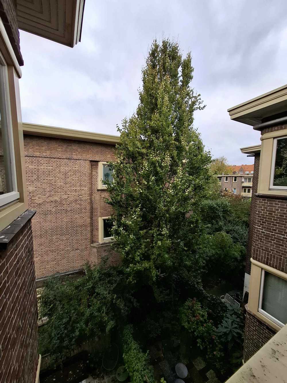 Slingerbeekstraat 28