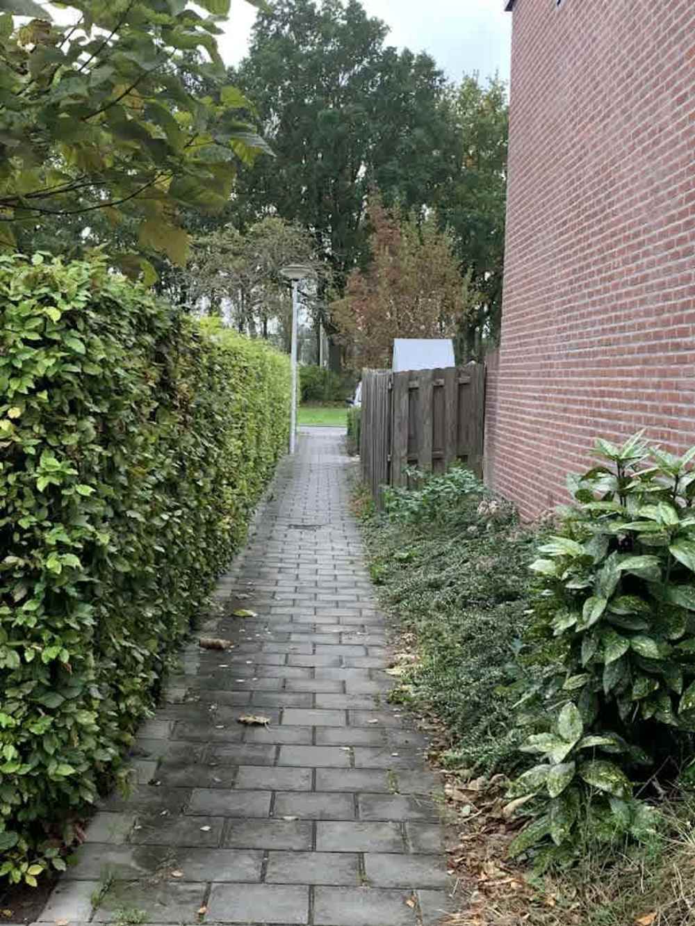 De Sint Willebrordus 56