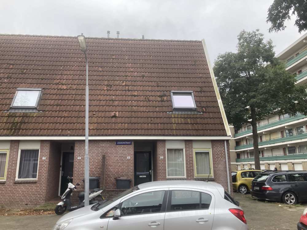 Zoekerstraat 19