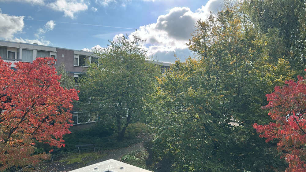 Van Nijenrodeweg 1007