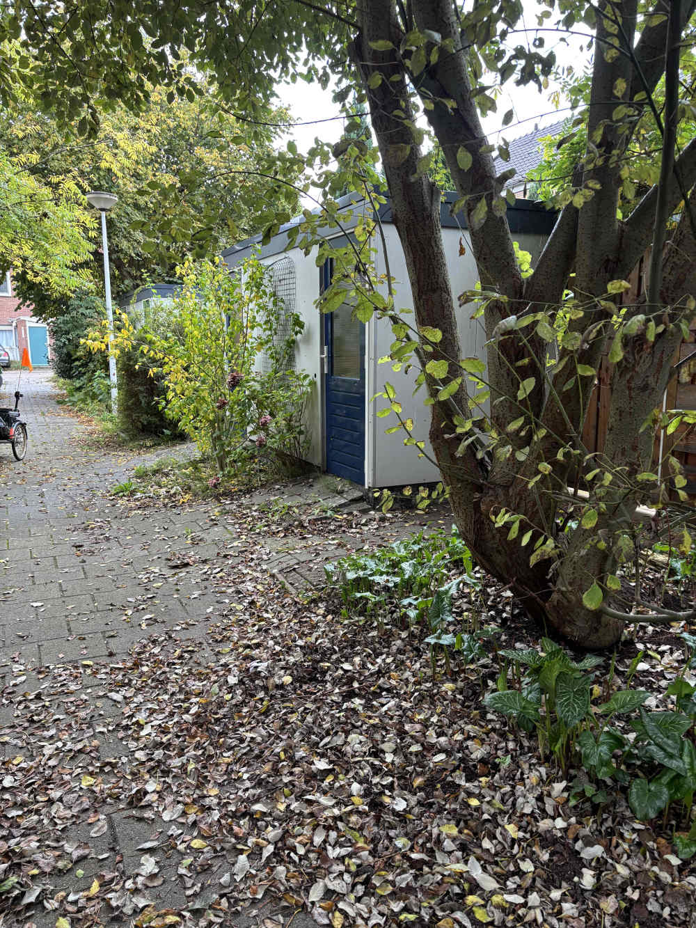 Frans Duwaerstraat 44