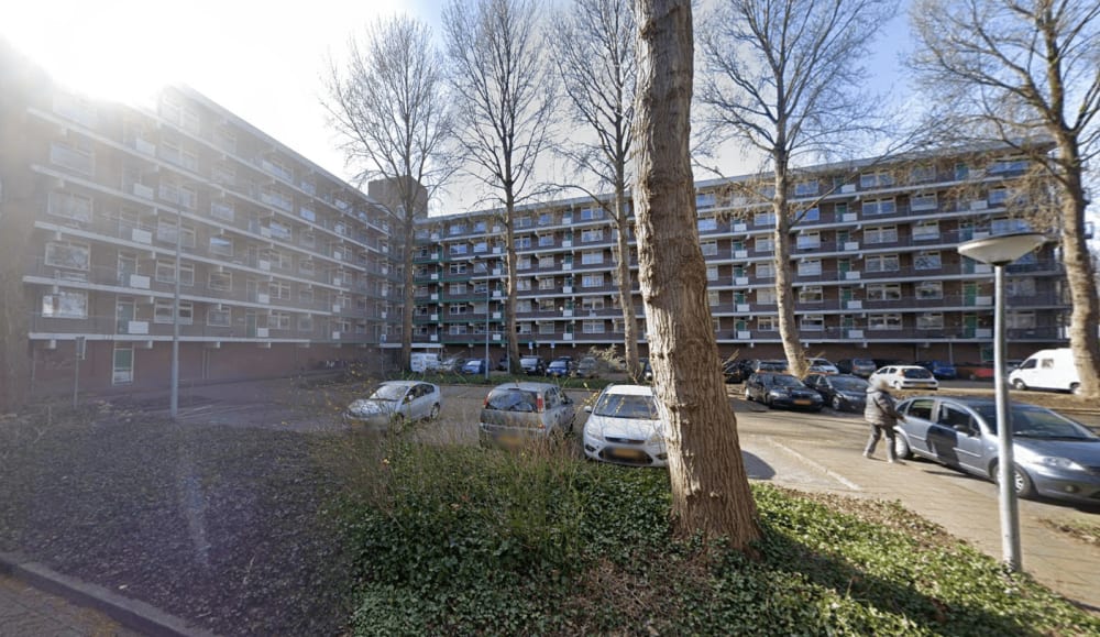 Kleine Beer 34, 1562 VG Krommenie, Nederland