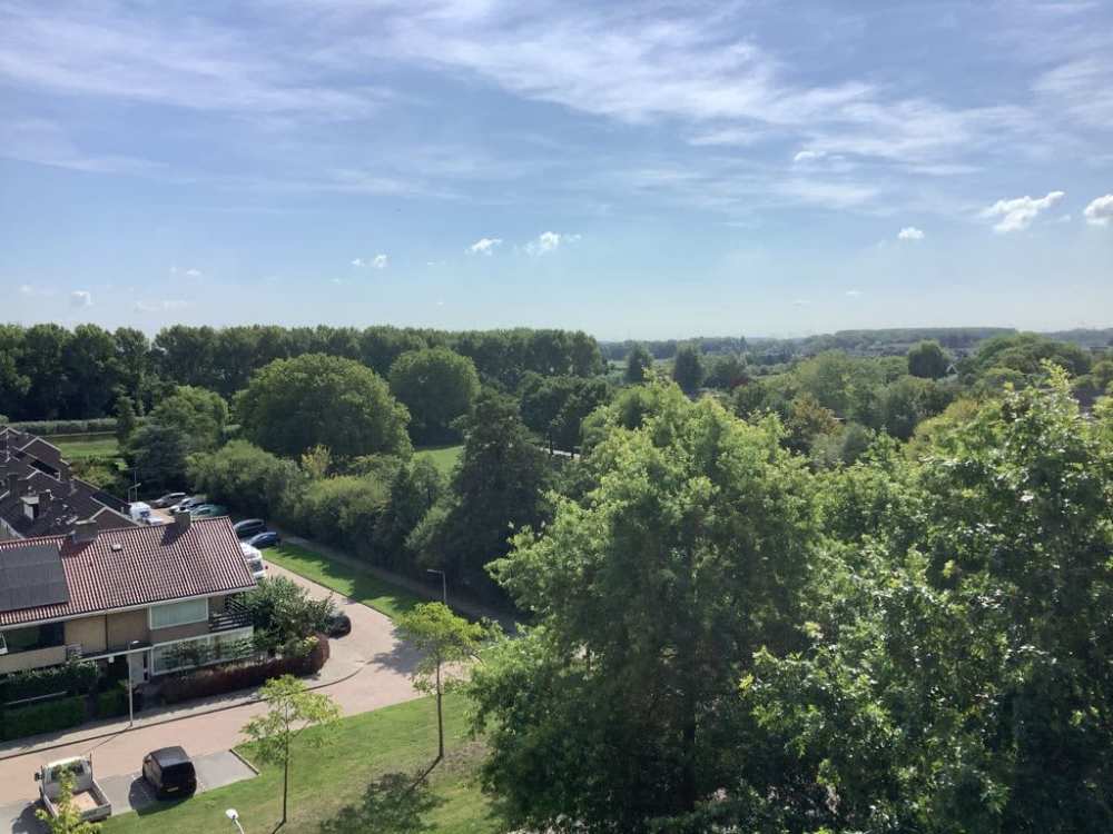 Pieter de Hoochplaats 100