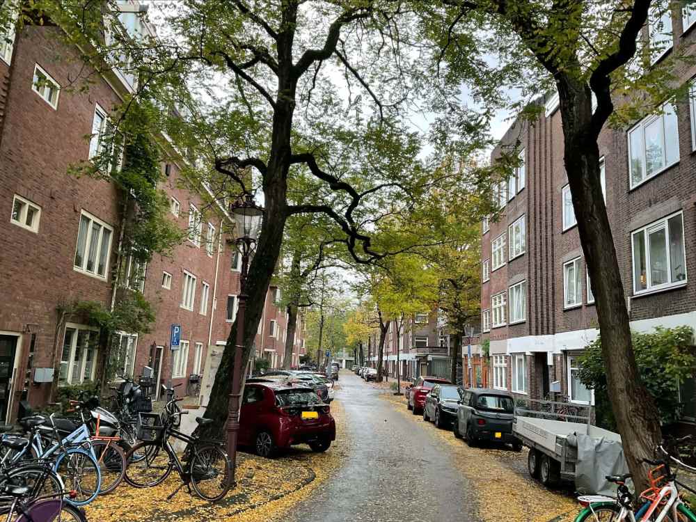 Mauvestraat 46