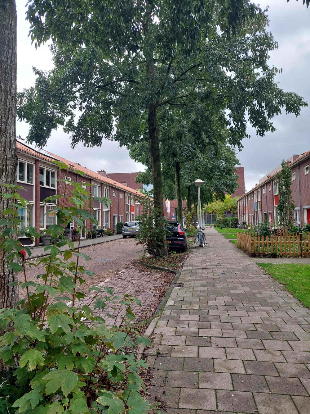 Van der Vijverstraat 20HS, 1093 KD Amsterdam, Nederland