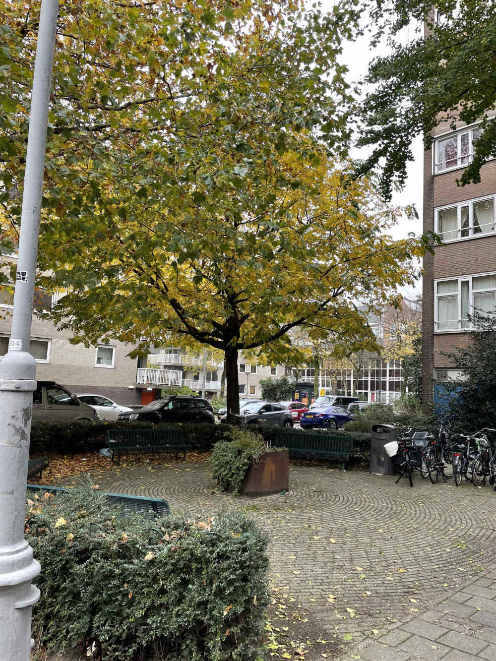 Ite Boeremastraat 81