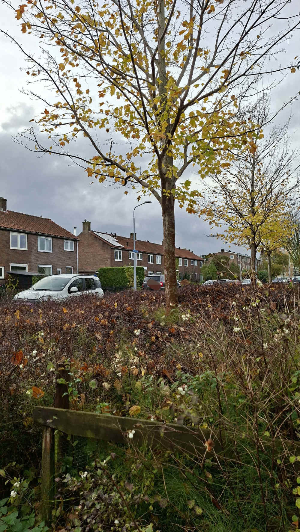 Chr. Huygensstraat 9