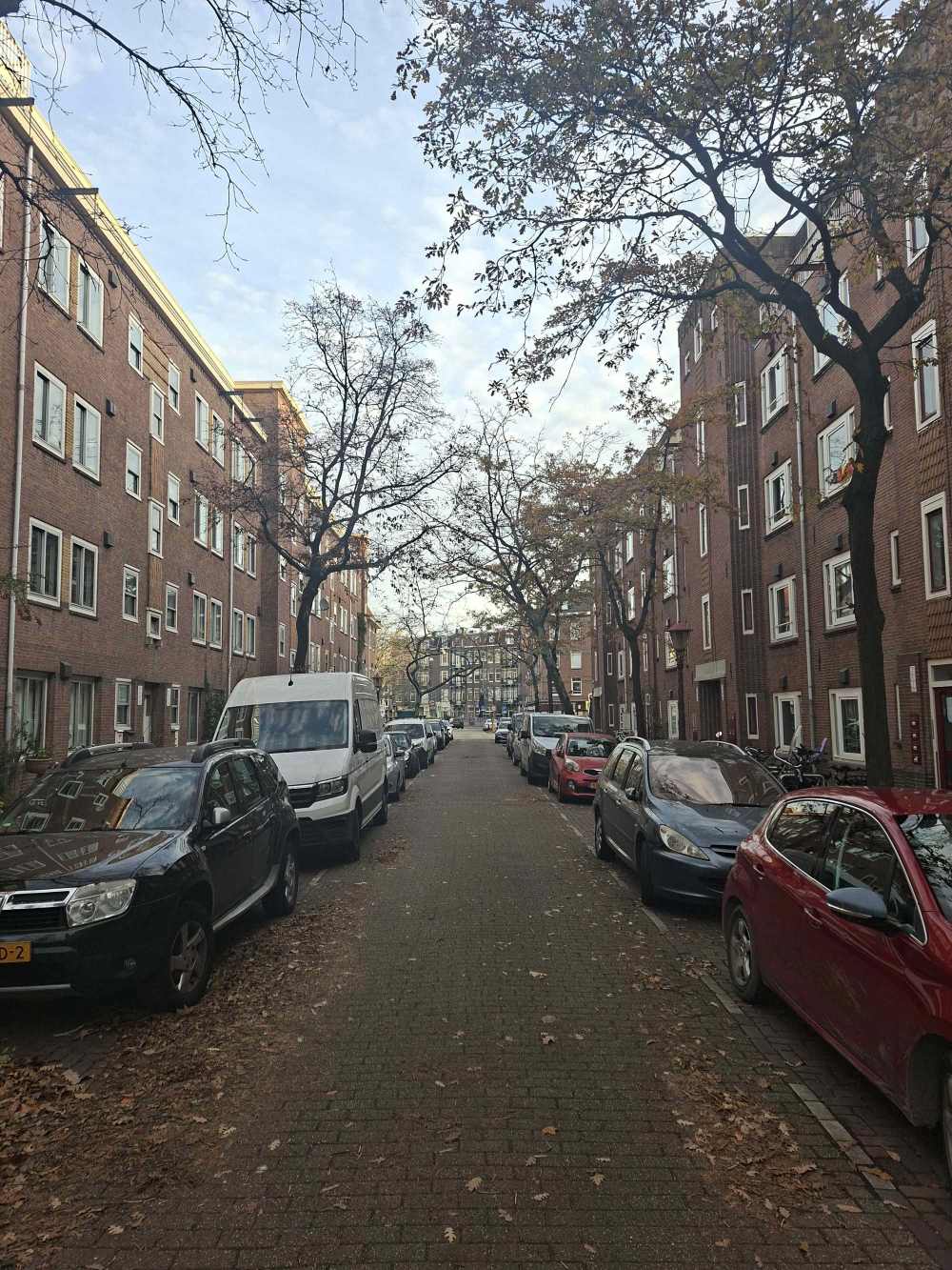 Albert Luthulistraat 4