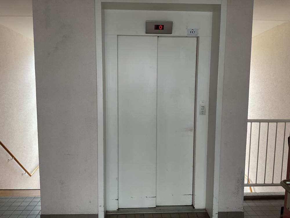 Bos en Lommerplantsoen 36