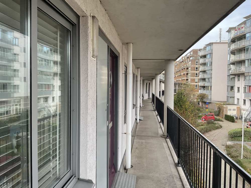 Bos en Lommerplantsoen 36