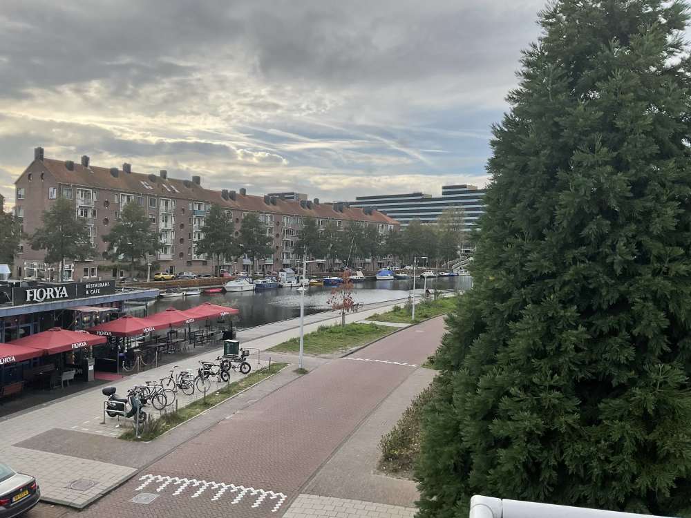 Bos en Lommerplantsoen 36