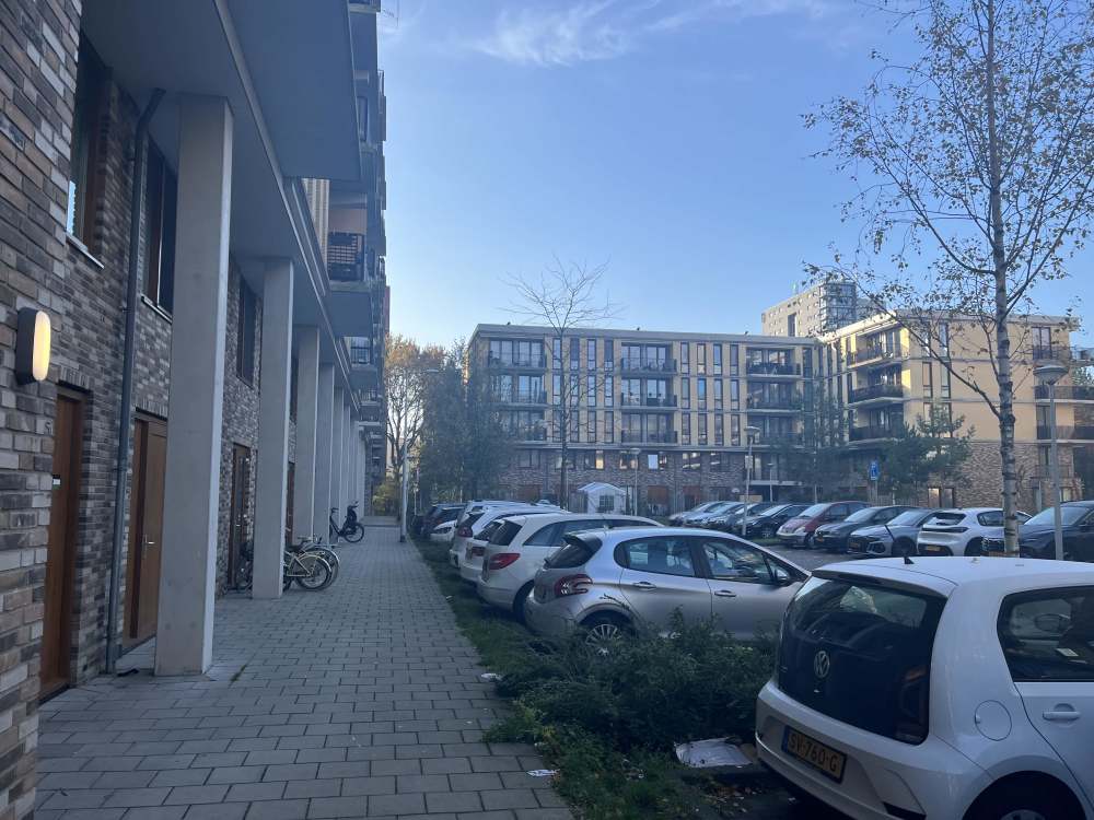 Zilverplevierstraat 59