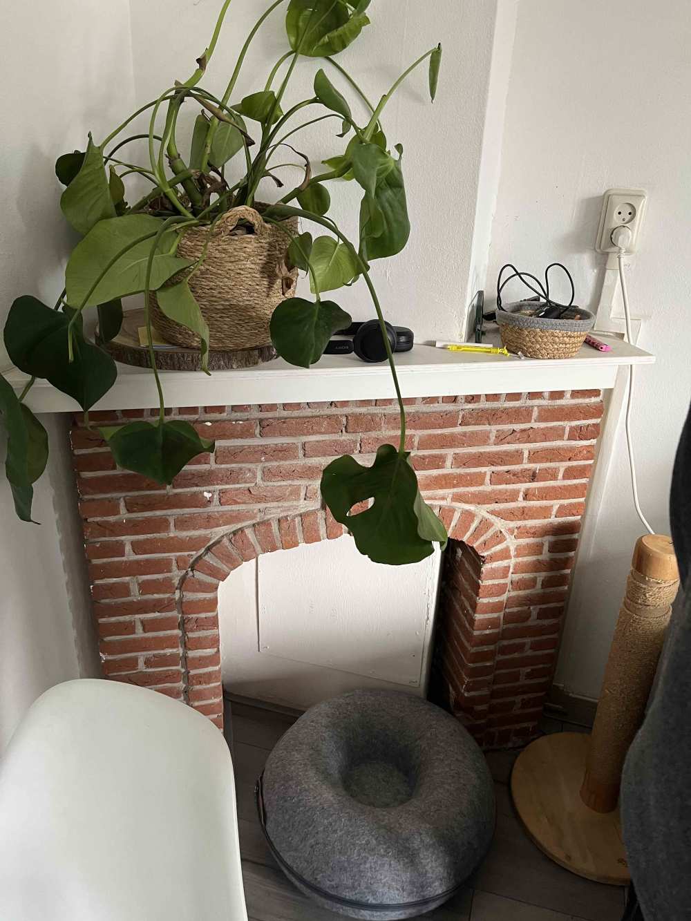 Burgemeester Rendorpstraat 48