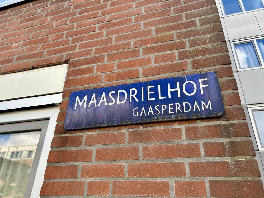 Maasdrielhof 108