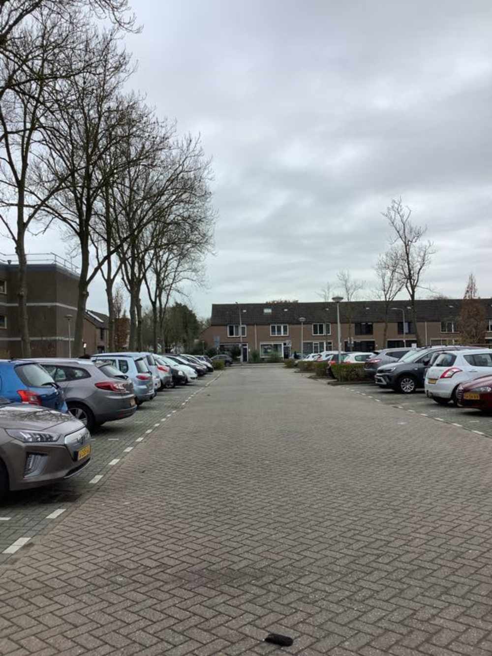 Duivenvoorde 63