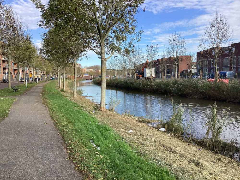 B. Merkelbachsingel 171