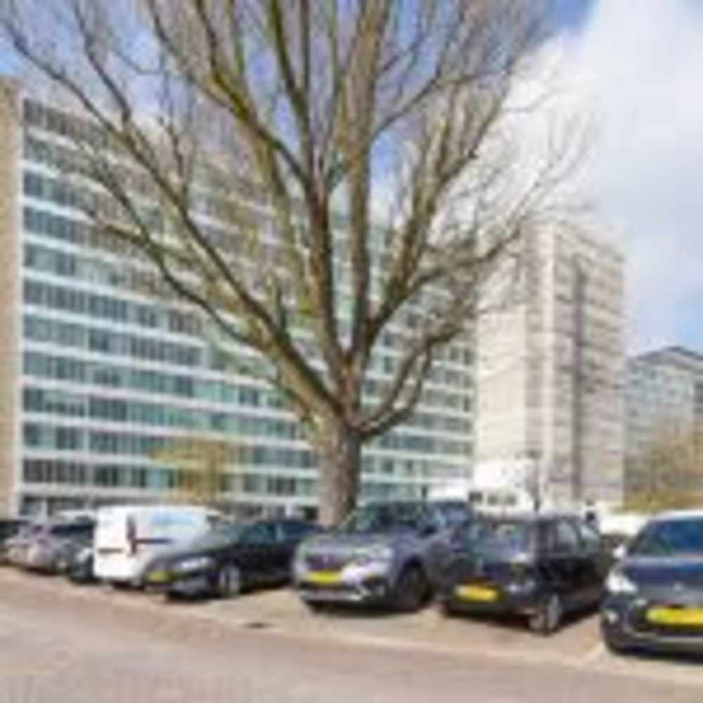 Bos en Lommerplantsoen 71, 1055 AA Amsterdam, Nederland