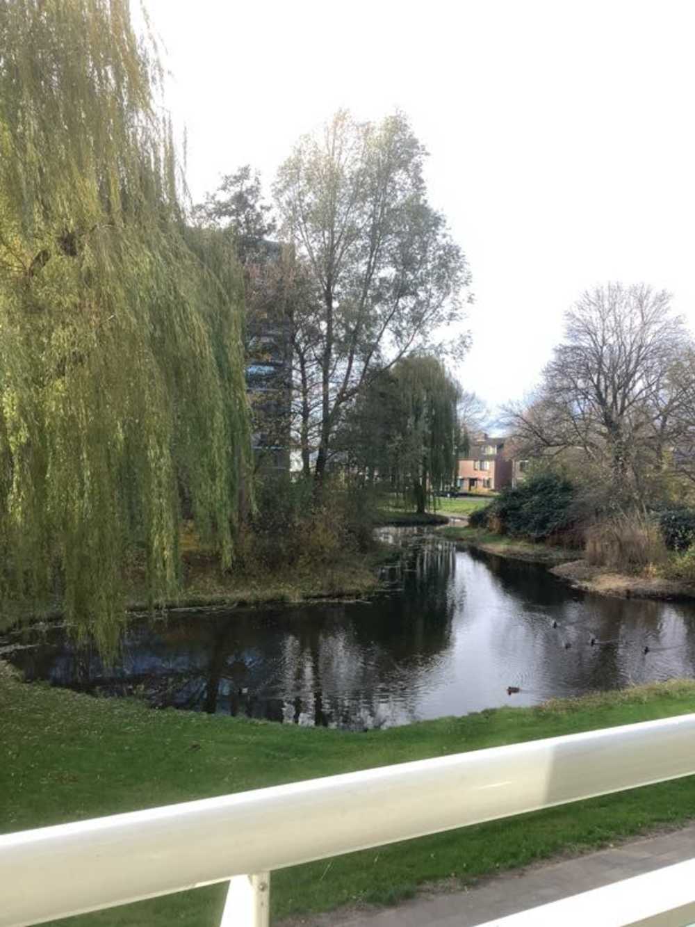 Pieter de Hoochplaats 142