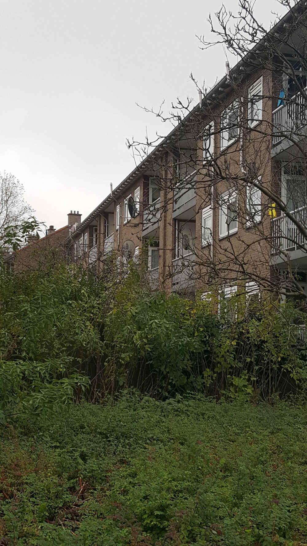 Serooskerkestraat 87