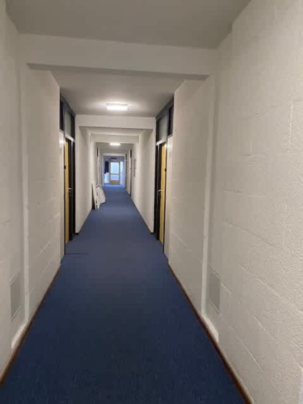 Van Nijenrodeweg 1088