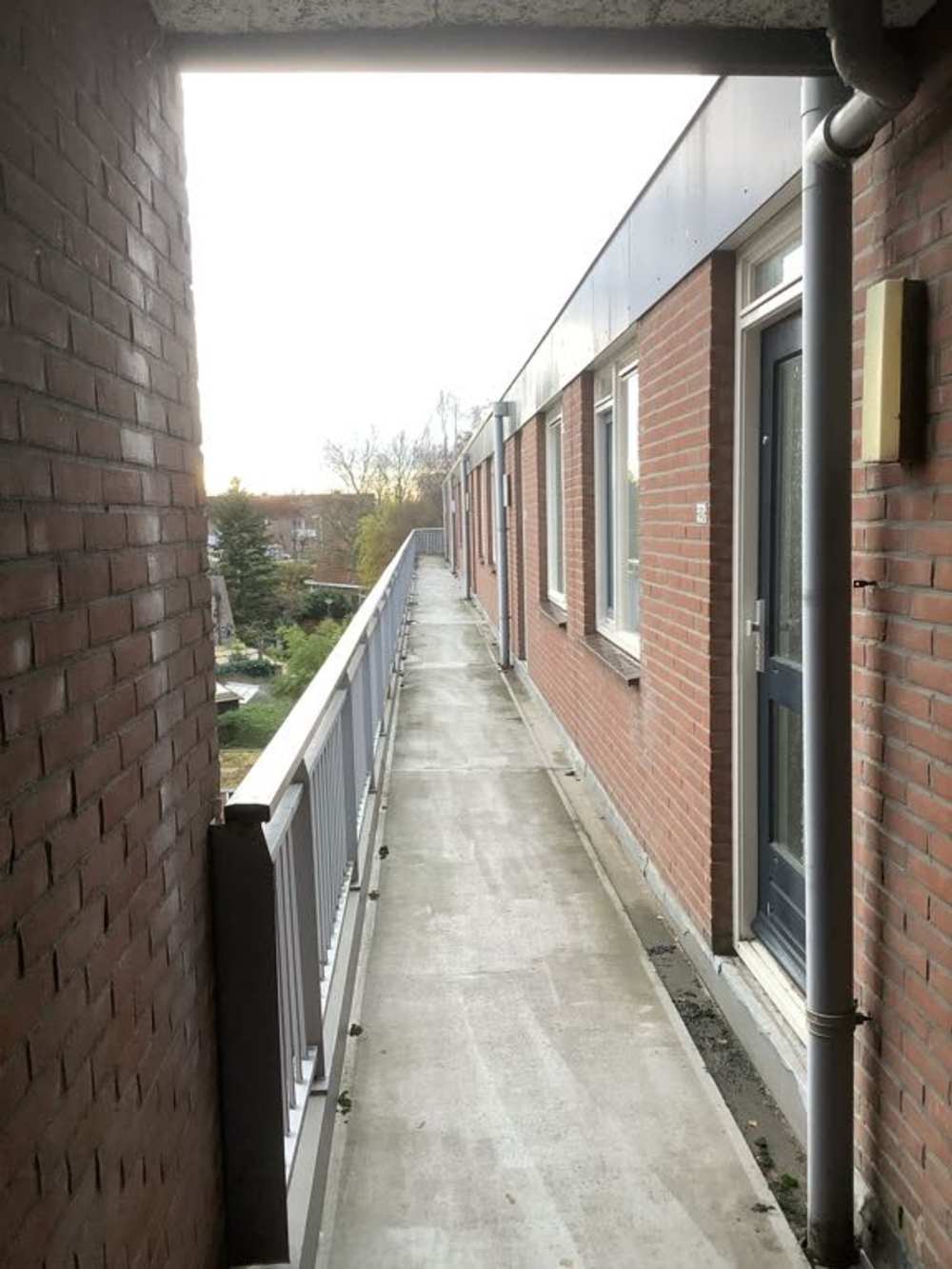 Leeuwerikstraat 154