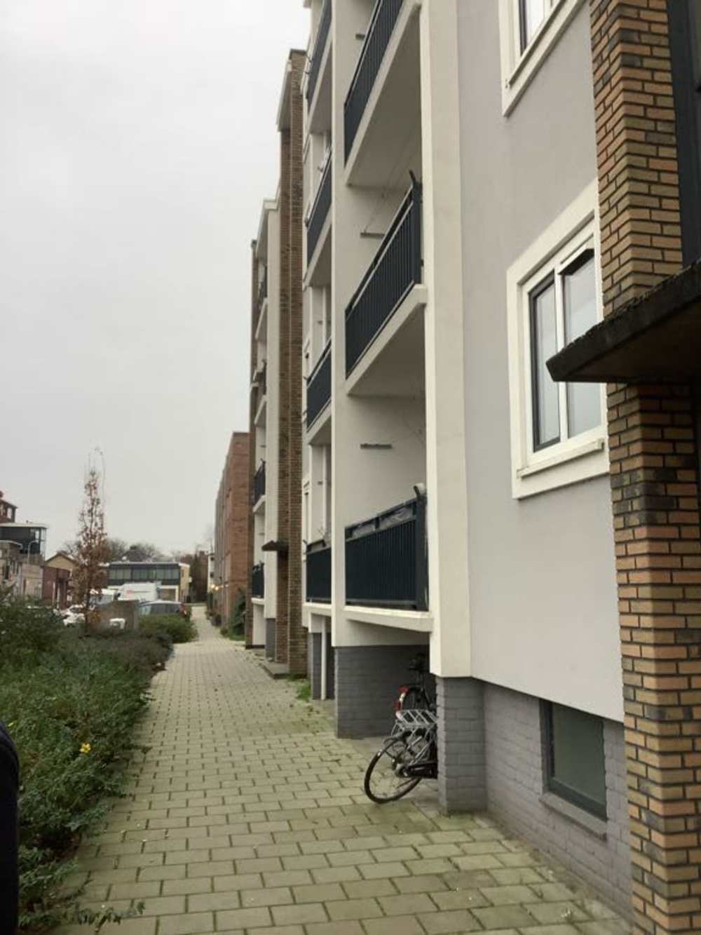 Van Ruisdaelstraat 82