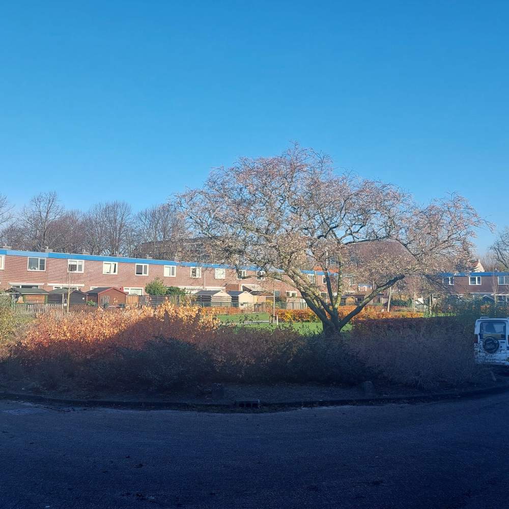 Adam van Germezhof 17