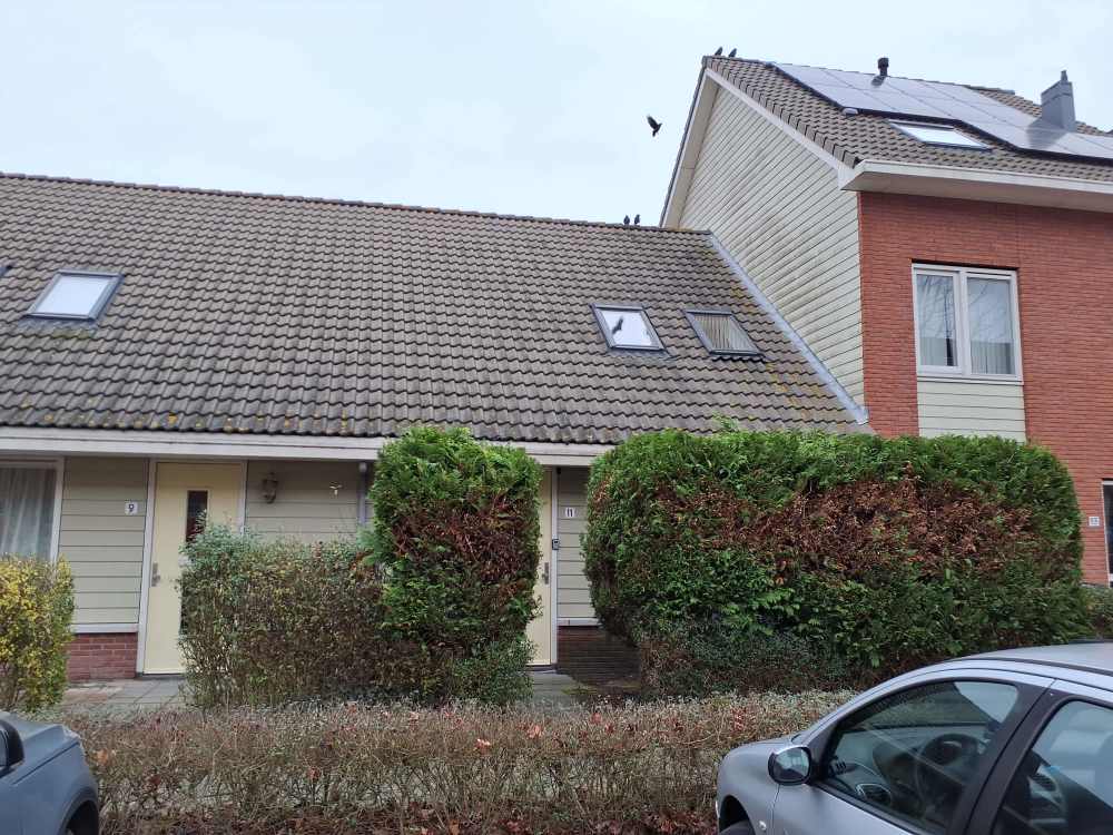 Gilles de Geusstraat 11