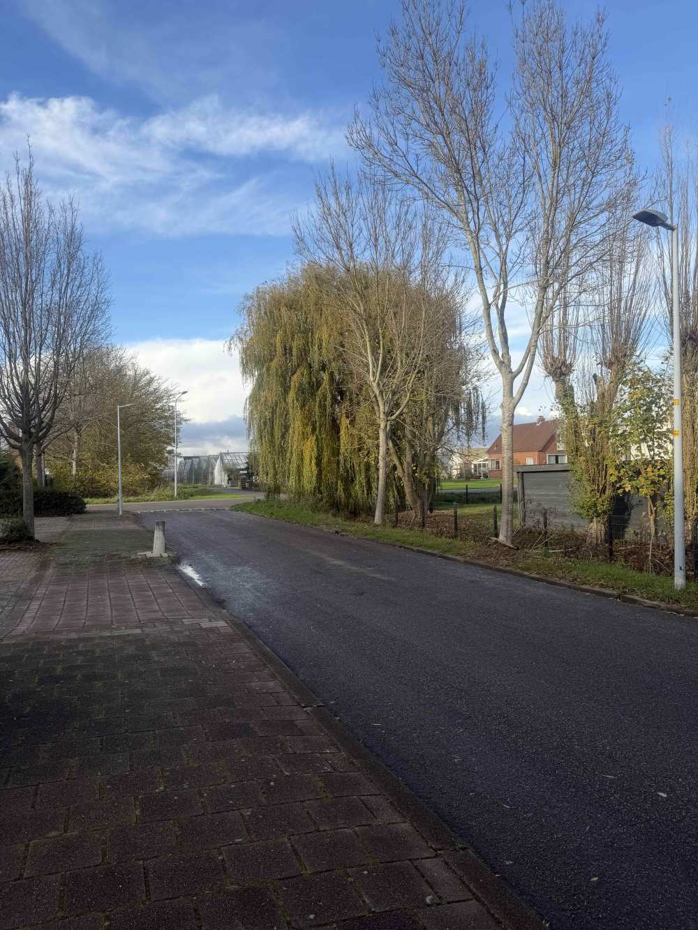 Loefzijde 33