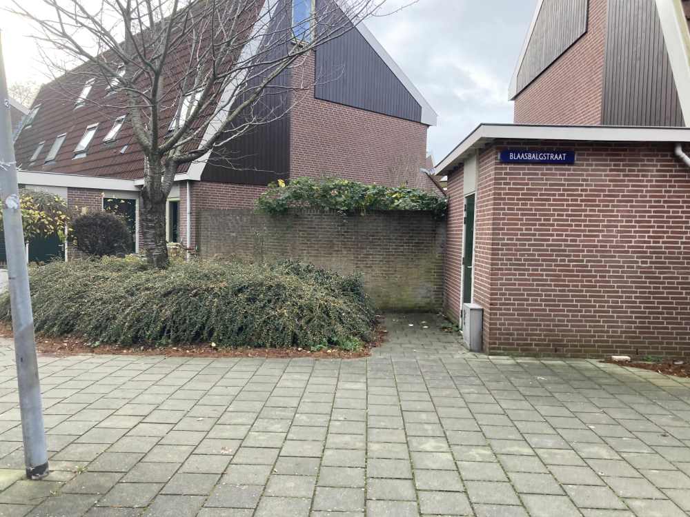 Blaasbalgstraat 22