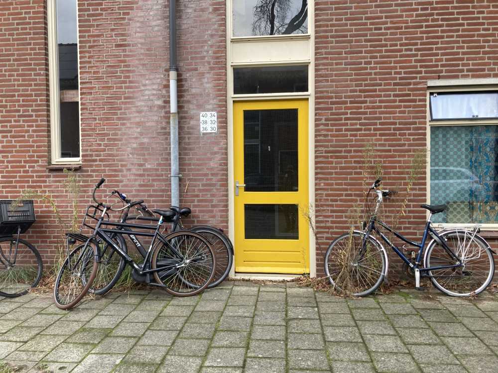 Blauwe Reigerstraat 34