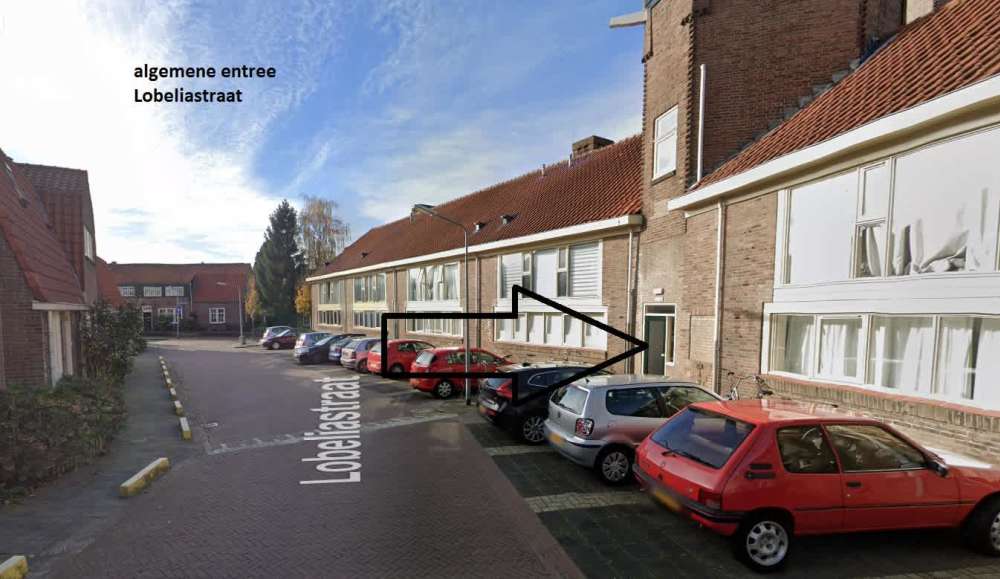 Lobeliastraat 26