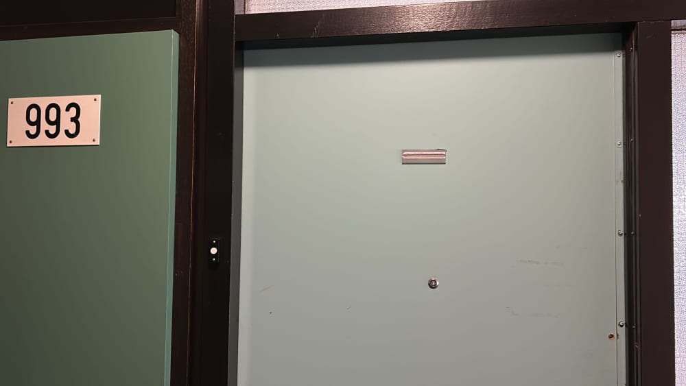 Van Nijenrodeweg 993