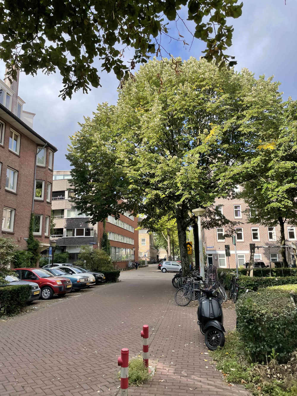 Schaepmanstraat 128