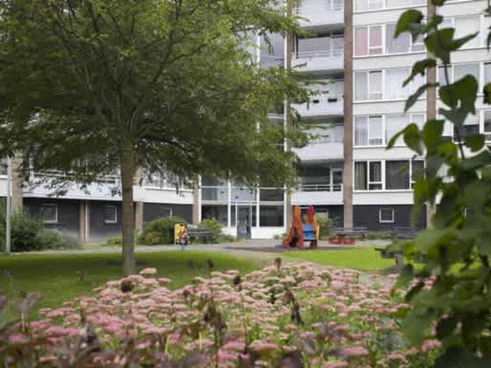 Kapitein Rietbergenflat 53, 3333 CA Zwijndrecht, Nederland