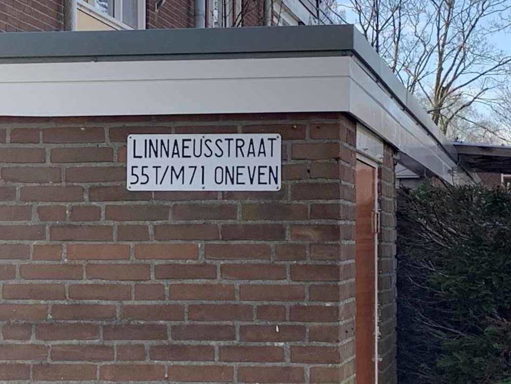 Linnaeusstraat 63