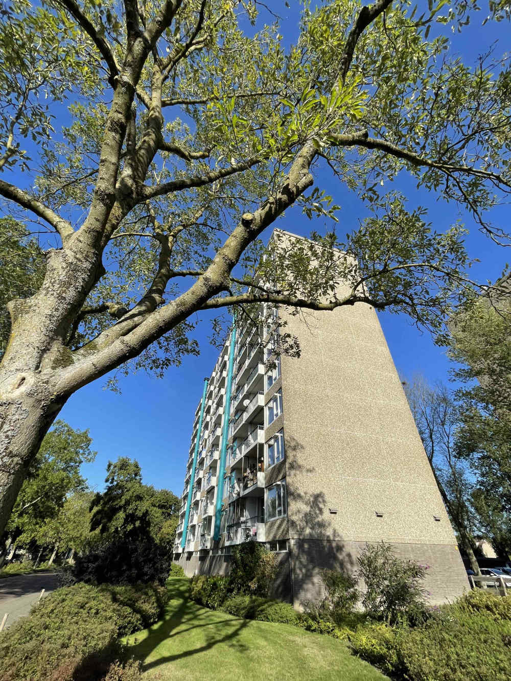 Gerard van Lomstraat 219