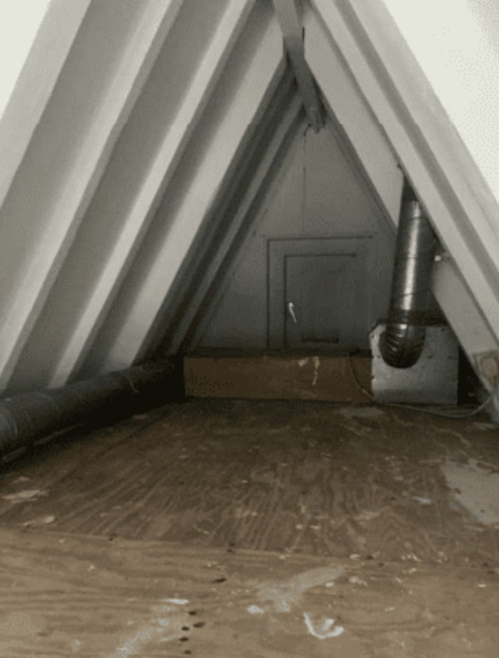 Wittenburgergracht 301