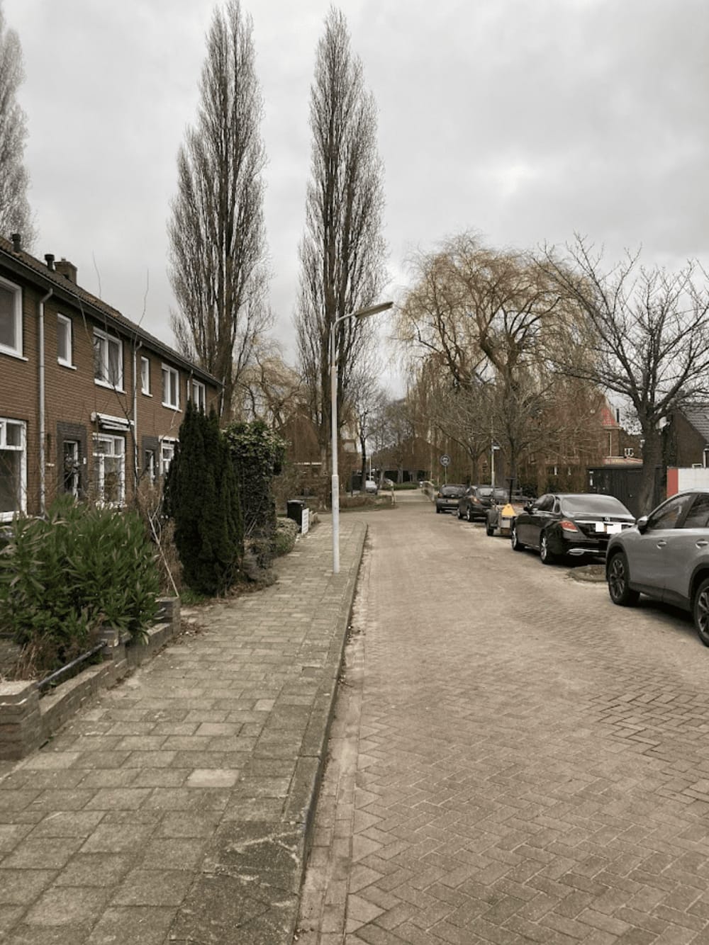 Tulpstraat 14