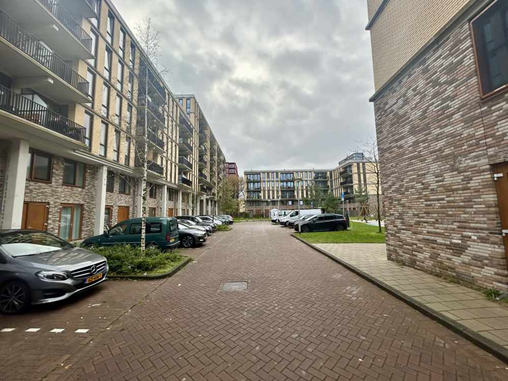 Zilverplevierstraat 43