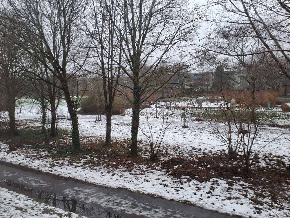 Wessel Ilckenstraat 159