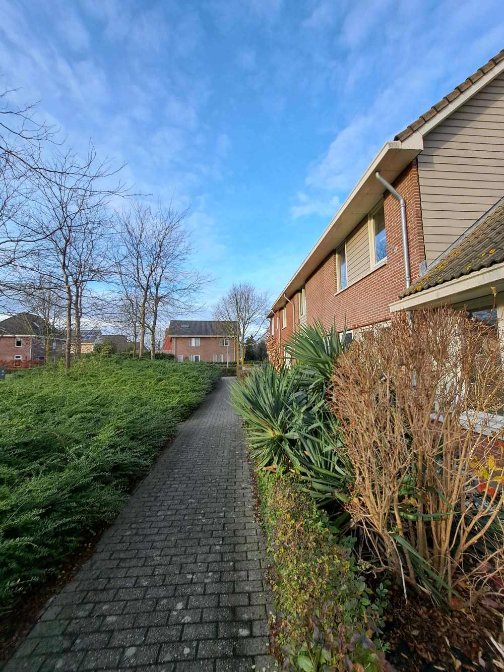 Peter van Straatenhof 9