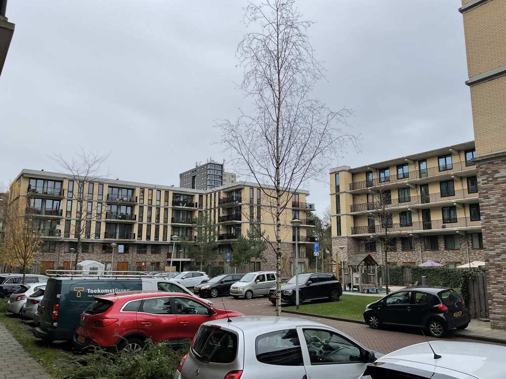 Zilverplevierstraat 71, 1025 XN Amsterdam, Nederland