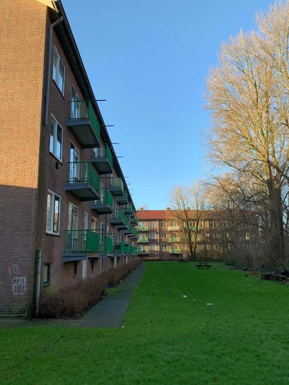 Lijns Tewisz Roggeplein 46